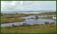 Mill Pool. Click on image to enlarge